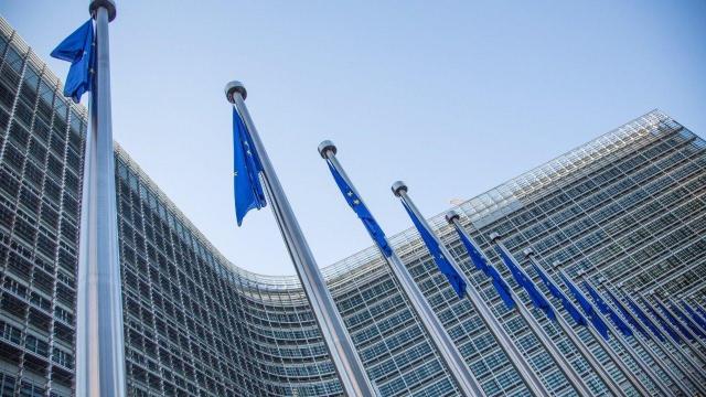 Embedded thumbnail for Ten principles of EU policy